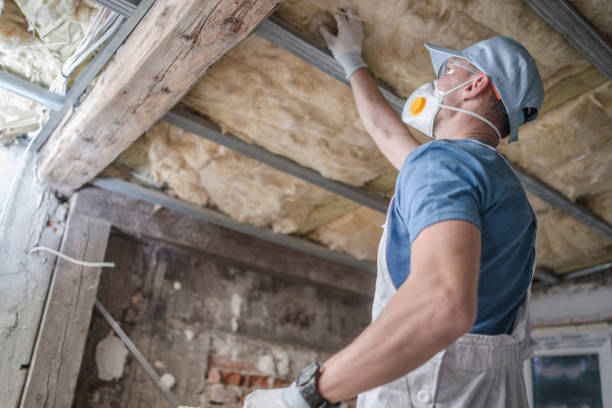 Best Spray Foam Insulation  in Mills River, NC