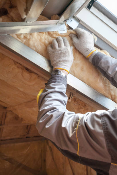 Best Professional Insulation Contractor  in Mills River, NC