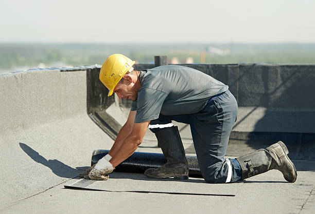 Best Attic Insulation Installation  in Mills River, NC