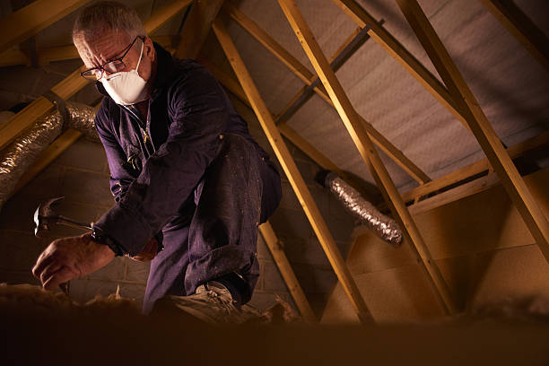 Best Affordable Insulation Services  in Mills River, NC