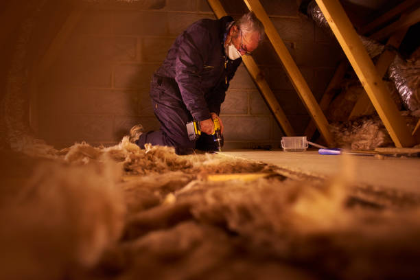 Best Wall Insulation Contractor  in Mills River, NC
