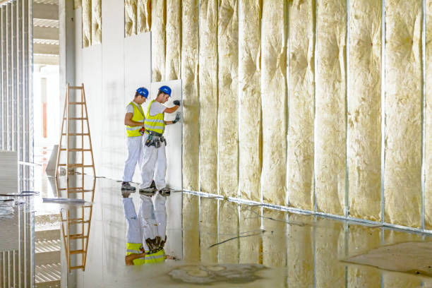 Best Local Insulation Services  in Mills River, NC